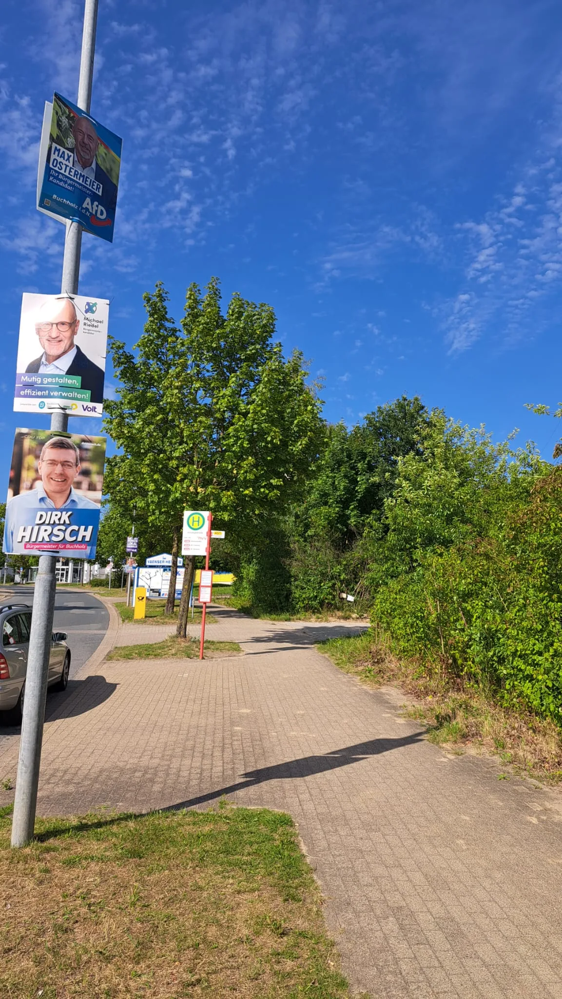 Wahlplakate am Laternenmast in Buchholz – Max Ostermeier für den Landtag